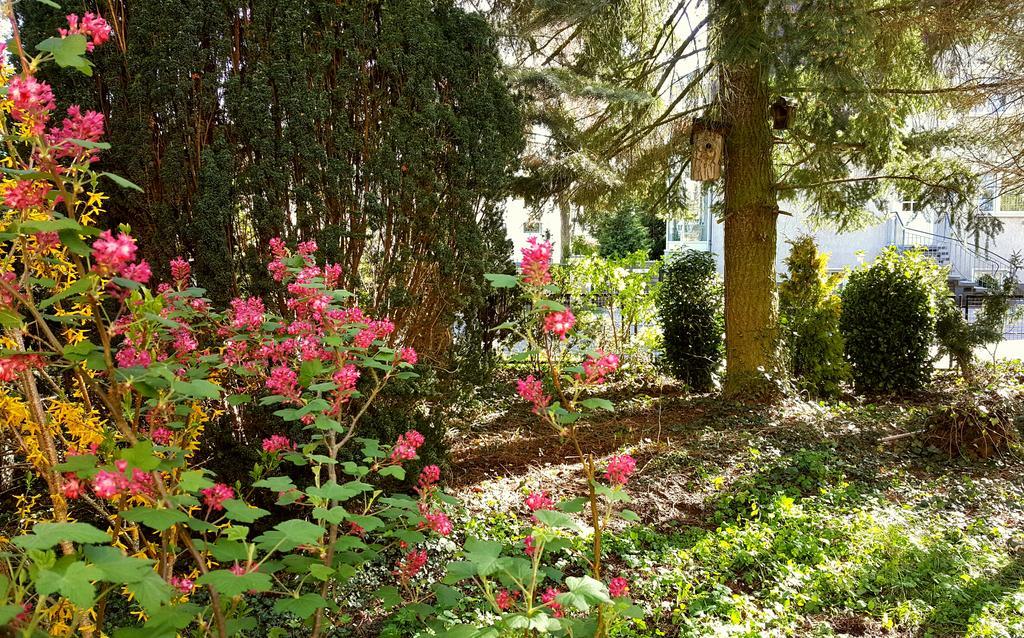 Ferienhaus Sanssouci Stahnsdorf Eksteriør billede